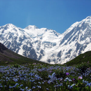 Trek around Nanga Parbat