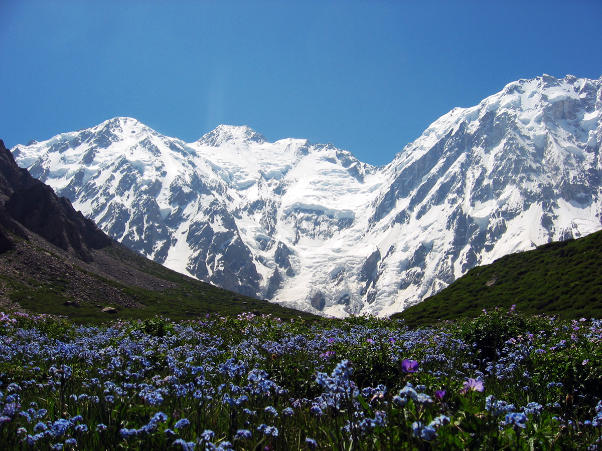 Trek around Nanga Parbat