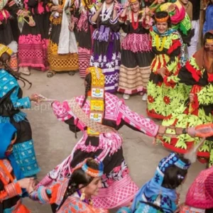 Chilim Jusht (Joshi Festival) A Celebration of Spring in Kalash Valley