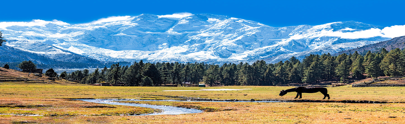 Nanga Parbat – 8126M